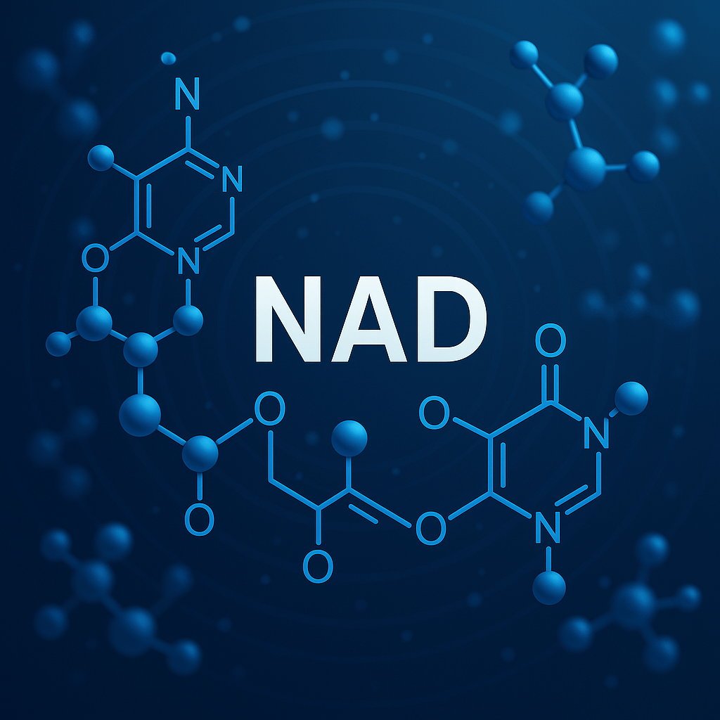 NAD+ Antiaging Fort Mill SC Function of Y health and wellness